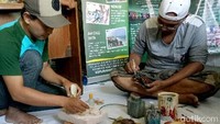 Satu replika penyu itu pun dibanderol dengan harga mulai dari Rp 125 ribu untuk replika penyu kecil jenis Belimbing hingga Rp 299 ribu untuk replika penyu lainnya. Harga pun disesuaikan dengan besar-kecil replika penyu tersebut. Selain itu, ada pula paket yang berisikan 4 ekor replika penyu dengan harga Rp 999 ribu.