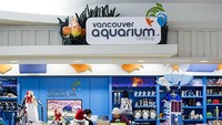 Bandara Internasional Vancouver di Kanada punya wahana akuarium besar dengan beragam biota laut. Tersedia pula toko suvenir buat beli oleh-oleh (Vancouver International Airport)