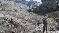 Pegunungan Jayawijaya, yang indah dan tak terjamah (Afif Farhan/detikTravel)
