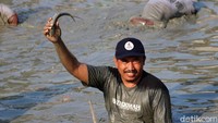 Ratusan warga nyemplung ke telaga untuk berebut ikan. Warga tidak hanya sekedar mencari ikan tetapi juga berlomba untuk menangkap ikan terbesar yang hidup di telaga tersebut.