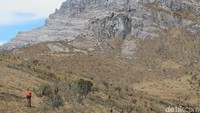 Pegunungan Jayawijaya terbentang dari Indonesia sampai Papua Nugini. Pulau Papua seperti berbentuk burung, nah Pegunungan Jayawijaya itu terbentang dari bagian lehernya di Indonesia sampai ke ekornya di Papua Nugini (Afif Farhan/detikTravel)