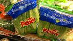 Diduga Sebarkan Bakteri E-Coli, Penjualan Selada Romaine Dilarang