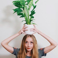 Wanita pecinta tanaman itu membuat foto dengan gaya bersama tanaman-tanamannya. Ia pun memiliki lebih dari 8 ribu followers di Instagramnya.  Foto: Instagram