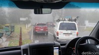 Baru setengah jalan awan mendung mulai menaungi kawasan Tambourine Mountain. Tiba-tiba Jeff pemandu kami berhenti dan memarkirkan busnya di badan jalan dan diikuti mobil-mobil lain yang sedang lalu lalang (Melisa Mailoa/detikTravel)