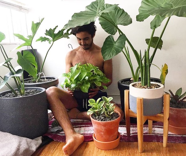 Hashtag plant porn sudah ada hampir 150 ribu postingan di Instagram. Mereka berpose dengan tanaman mereka.  Foto: Instagram
