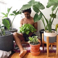 Hashtag plant porn sudah ada hampir 150 ribu postingan di Instagram. Mereka berpose dengan tanaman mereka.  Foto: Instagram