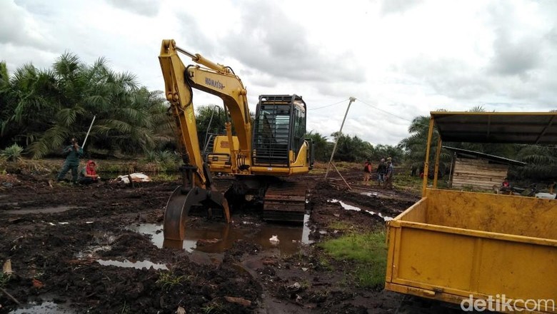 2 Alat Berat untuk Buka Lahan Sawit Ilegal di Riau Disita 2 Alat Berat untuk Buka Lahan Sawit Ilegal di Riau Disita