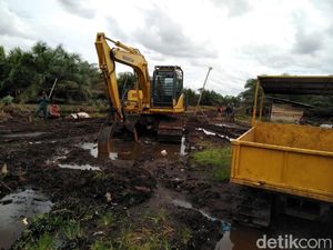 2 Alat Berat untuk Buka Lahan Sawit Ilegal di Riau Disita