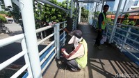 Pekerja mengecat pagar JPO agar terlihat bersih dan rapi.