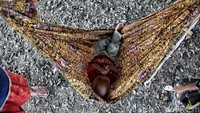 Seorang anak tertidur di ayunan, sementara di bawahnya terdapat limbah kerang hijau.