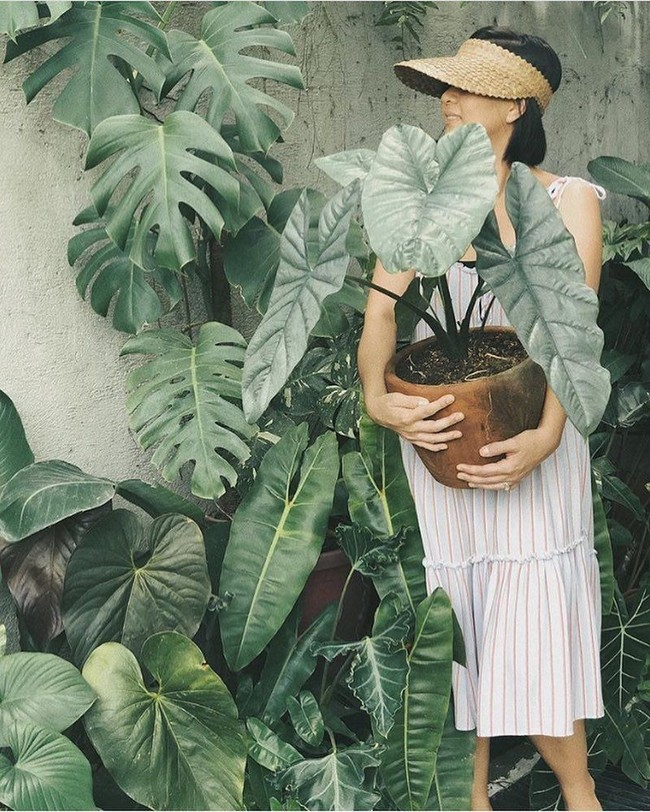 Hanya menjepret tanaman saja mungkin bagi sebagian orang terasa tak menarik. Namun jika ada objek lain seperti menampilkan yang punya tanamannya akan tampak lebih menarik.  Foto: Instagram