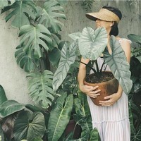 Hanya menjepret tanaman saja mungkin bagi sebagian orang terasa tak menarik. Namun jika ada objek lain seperti menampilkan yang punya tanamannya akan tampak lebih menarik.  Foto: Instagram