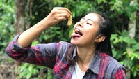 Di antara jenis ulat yang pernah ku makan, mungkin ini yang paling ku suka. Kenalin namanya ulat meranti. Ga usah geli ini enak ko ga boong, tulis Efinda pada captions foto ini. Berani coba? Foto: instagram @findaandrian