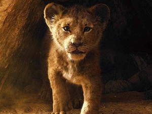 Menanti The Lion King dan Keindahan Kilimanjaro