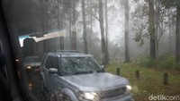 Badai ini sering terjadi di kawasan pegunungan seperti Tambourine Mountain. Dan sebetulnya tidak berbahaya asalkan kita tidak menerjangnya (Melisa Mailoa/detikTravel)