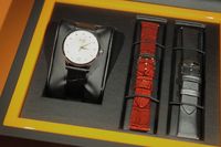  Baroncelli Lady Day & Night 