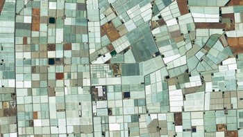 Potret satelit rumah kaca di Almeria, Spanyol. Area ini memiliki luas mencapai 20.000 hektar lahan. Istimewa/Boredpanda.