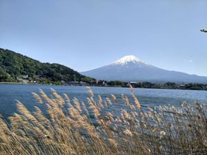 Gunung Fuji, Primadona Jepang yang Punya Pemandangan Ciamik