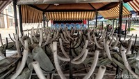 Pulau D disegel sejak Kamis, 7 Juni 2018. Saat itu Anies turun langsung ke Pulau D untuk menyegelnya. Penyegelan dilakukan di seluruh bangunan karena tidak memiliki izin.