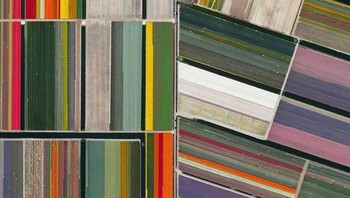 Pemandangan kebun bunga tulip yang bermekaran di Lisse, Belanda. Istimewa/Boredpanda.