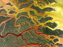 Deretan Potret Keren dari Satelit