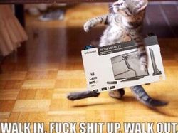 Bikin Ngakak! Deretan Meme Kocak Black Friday