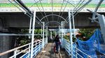 Melihat Proses Perbaikan JPO Tendean