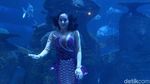 Menikmati Keindahan Biota Laut di Jakarta Aquarium