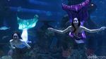 Menikmati Keindahan Biota Laut di Jakarta Aquarium