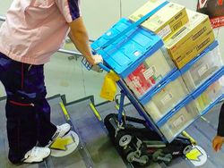 Kumpulan Foto Ini Tampilkan Unik dan Ramahnya Jepang