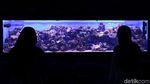 Menikmati Keindahan Biota Laut di Jakarta Aquarium