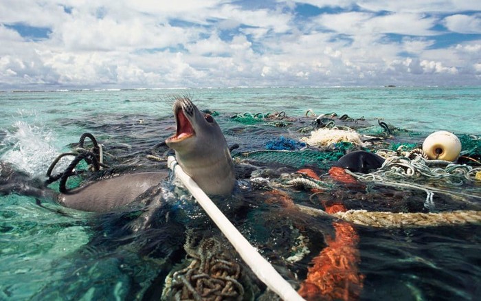 Data Mengerikan Soal Sampah Plastik Di Lautan