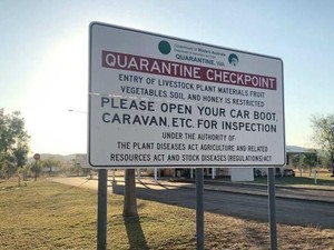Australia Manfaatkan Kecerdasan Buatan untuk Tangkal Ancaman Hama