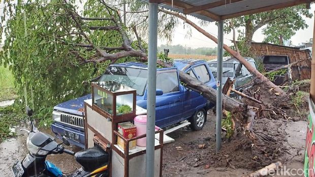 Angin Kencang Sapu 3 Desa di Jombang, Begini Dampaknya