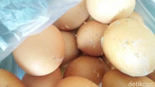Telur dari Pemasok Berbelatung, Pengelola e-Warung di Jombang Tekor