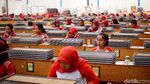 Cerutu Made in Jember Tembus Eropa, Intip Yuk Produksinya