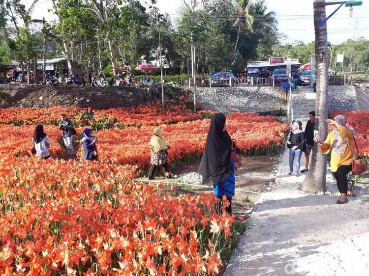 Foto: Aneka Pantai hingga Geopark, Ini 7 Wisata Alam di Gunungkidul