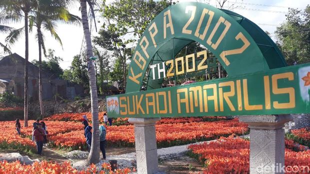 Kebun bunga ini adalah milik Sukadi (Pradito/detikTravel)