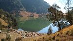 Deretan Foto Ranu Kumbolo, Danau Cantik yang Bikin Rindu Mendaki Gunung Semeru