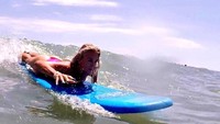 Begini gayanya saat surfing di pesisir pantai Florida, AS (Instagram/kaylynkyle)