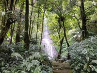 Indahnya Curug Jaksa di Bogor yang Dipercaya Bikin Enteng Jodoh
