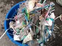  Sampah Sedotan  Sepanjang Jakarta Meksiko Bikin Tenia Bergerak