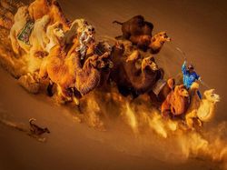 Warna-warni Juara Siena International Photo Awards 2018