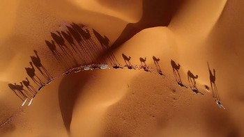 Migration karya Khalid Alsabt dari Arab Saudi. Foto: Khalid Alsabt/Siena International Photo Awards 2018