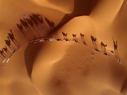 Warna-warni Juara Siena International Photo Awards 2018