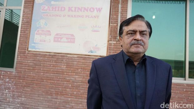 Melihat Eksportir Jeruk Kino di Pakistan
