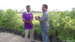 Foto: Desa Wisata Kekinian Ala Lamongan