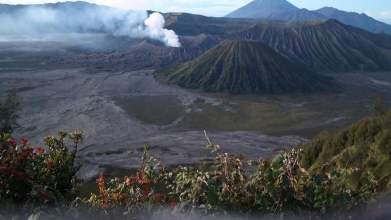 Gunung Bromo Erupsi, Wisatawan Dilarang Mendekat di Radius 1 Km Gunung Bromo Erupsi, Wisatawan Dilarang Mendekat di Radius 1 Km