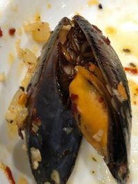 Hii.. Ada Kecoa Sembunyi di Cangkang Kerang Pesanan Pengunjung Ini!