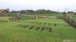 Foto: Desa Wisata Kekinian Ala Lamongan